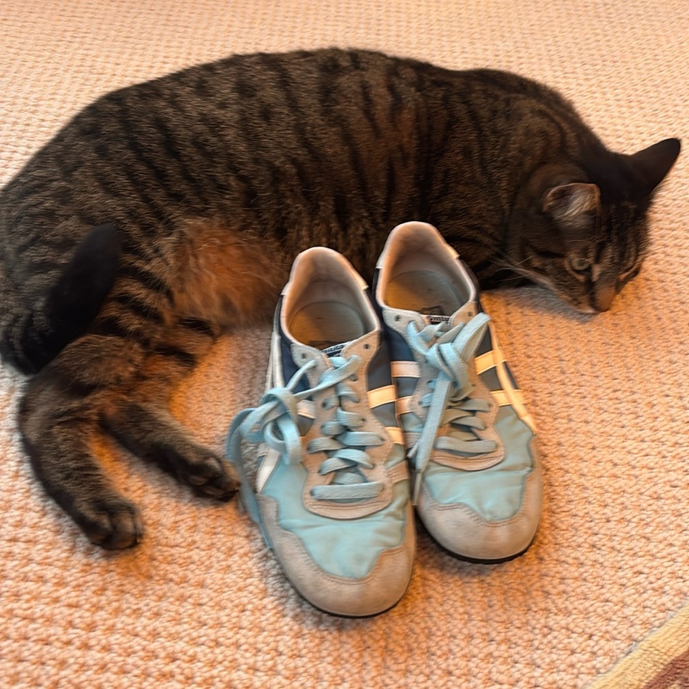 Onitsuka Tiger Serrano
